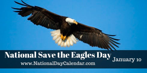 National Save the Eagles Day