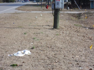 Litter in Elizabethtown