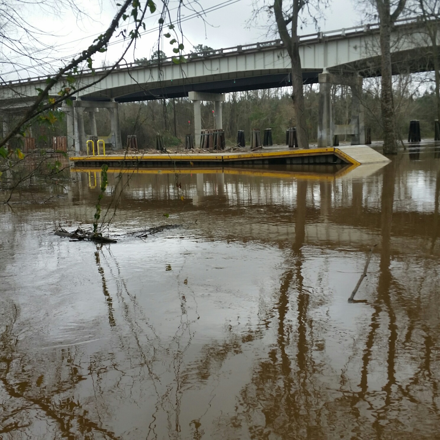 Flooding along Cape Fear River impacts interests along river
