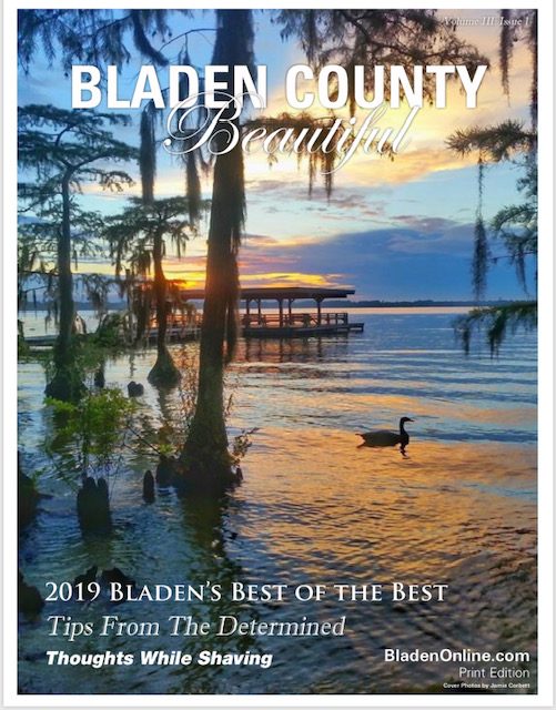 Bladen county online