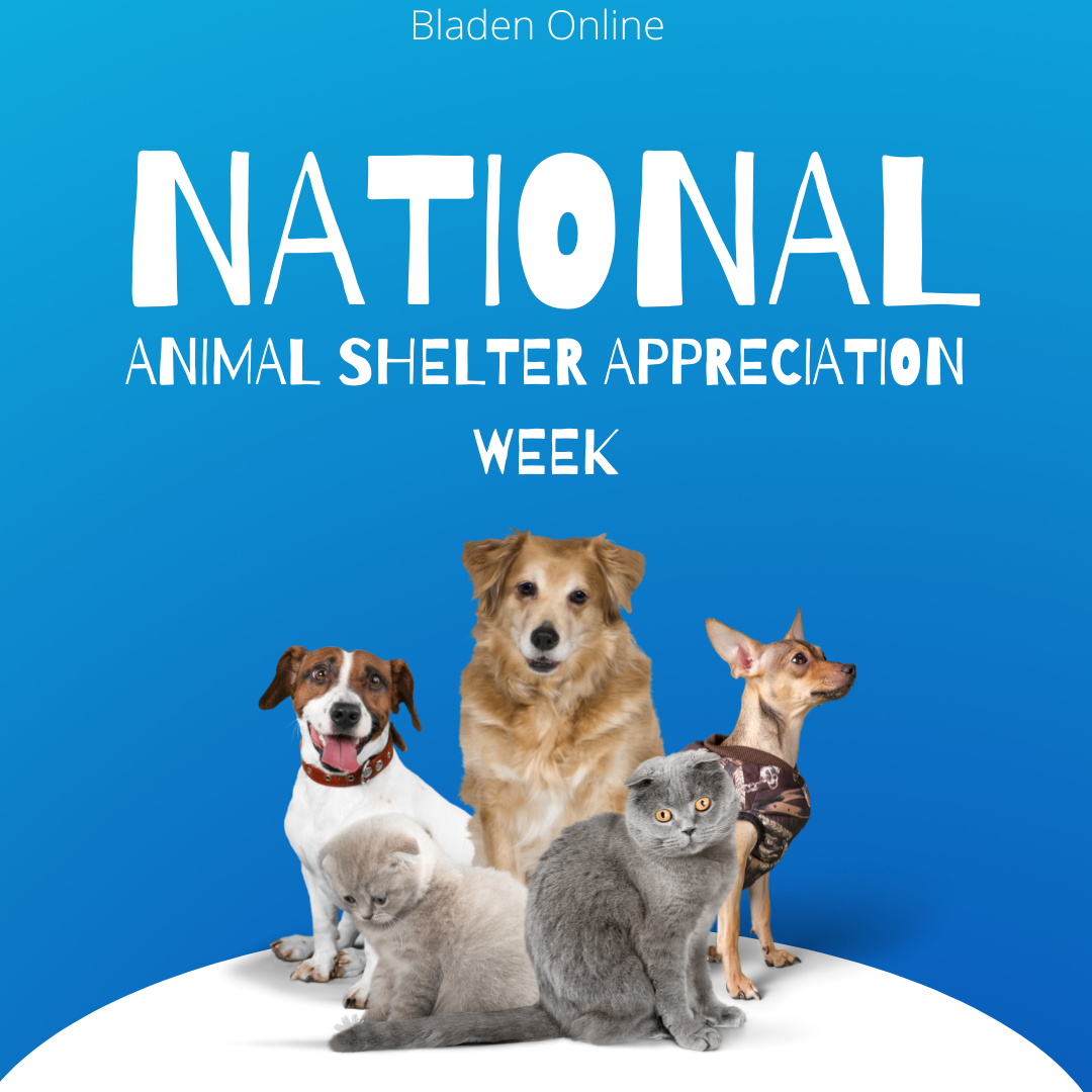 This Week is National Animal Shelter Appreciation Week